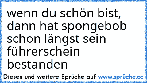 wenn du schön bist, dann hat spongebob schon längst sein führerschein bestanden