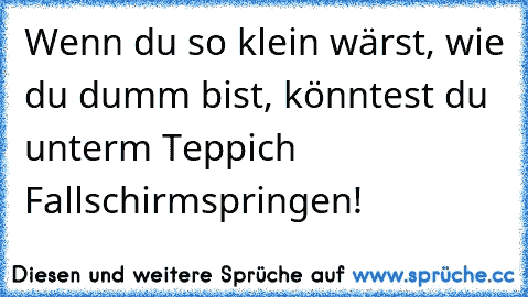 Wenn du so klein wärst, wie du dumm bist, könntest du unterm Teppich Fallschirmspringen!