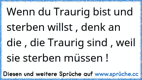 Wenn du Traurig bist und sterben willst , denk an die , die Traurig sind , weil sie sterben müssen ! ♥