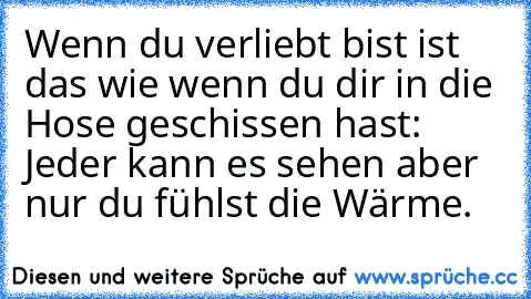 Wenn du verliebt bist ist das wie wenn du dir in die Hose geschissen hast: Jeder kann es sehen aber nur du fühlst die Wärme.