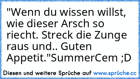 "Wenn du wissen willst, wie dieser Arsch so riecht. Streck die Zunge raus und.. Guten Appetit."
SummerCem ;D