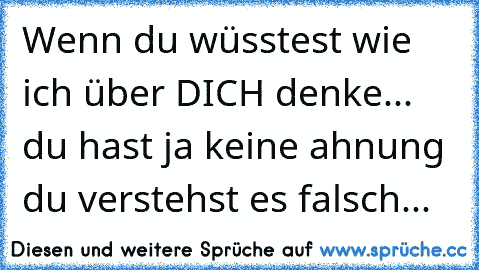 Wenn du wüsstest wie ich über DICH denke... du hast ja keine ahnung du verstehst es falsch...