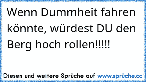 Wenn Dummheit fahren könnte, würdest DU den Berg hoch rollen!!!!!