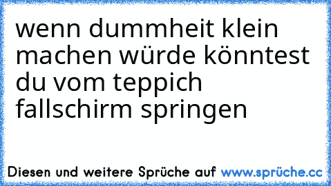 wenn dummheit klein machen würde könntest du vom teppich fallschirm springen