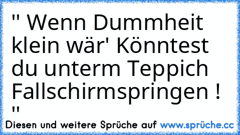 '' Wenn Dummheit klein wär' Könntest du unterm Teppich Fallschirmspringen ! ''