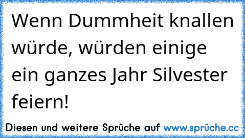 Wenn Dummheit knallen würde, würden einige ein ganzes Jahr Silvester feiern!