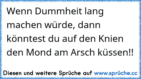 Wenn Dummheit lang machen würde, dann könntest du auf den Knien den Mond am Arsch küssen!!