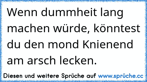 Wenn dummheit lang machen würde, könntest du den mond Knienend am arsch lecken.