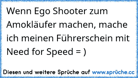 Wenn Ego Shooter zum Amokläufer machen, mache ich meinen﻿ Führerschein mit Need for Speed = )