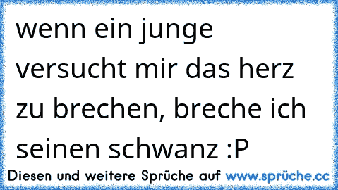 wenn ein junge versucht mir das herz zu brechen, breche ich seinen schwanz :P