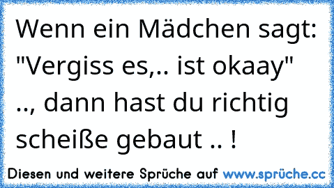 Wenn ein Mädchen sagt: "Vergiss es,.. ist okaay" .., dann hast du richtig scheiße gebaut .. !