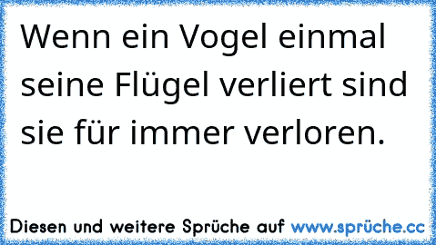 Wenn ein Vogel einmal seine Flügel verliert sind sie für immer verloren.