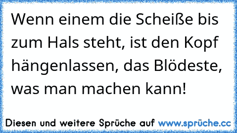 Wenn einem die Scheiße bis zum Hals steht, ist den Kopf hängenlassen, das Blödeste, was man machen kann!