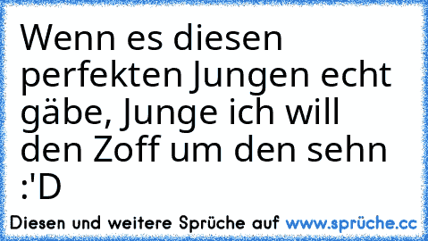 Wenn es diesen perfekten Jungen echt gäbe, Junge ich will den Zoff um den sehn :'D