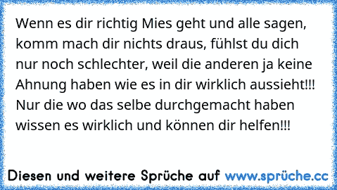 Wenn es dir richtig Mies geht und alle sagen, komm mach dir nichts draus, fühlst du dich nur noch schlechter, weil die anderen ja keine Ahnung haben wie es in dir wirklich aussieht!!! Nur die wo das selbe durchgemacht haben wissen es wirklich und können dir helfen!!!