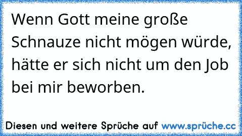 Wenn Gott meine große Schnauze nicht mögen würde, hätte er sich nicht um den Job bei mir beworben.