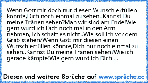 Wenn Gott mir doch nur diesen Wunsch erfüllen könnte,
Dich noch einmal zu sehen..
Kannst Du meine Tränen sehen?
Man wir sind am Ende!
Wie gern würd ich Dich noch mal in den Arm nehmen, ich schaff es nicht..
Wie soll ich vor dem Grab stehen?
Wenn Gott mir diesen einen Wunsch erfüllen könnte,
Dich nur noch einmal zu sehen..
Kannst Du meine Tränen sehen?
Wie ich gerade kämpfe!
Wie gern würd ich Di...