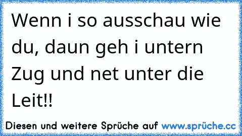 Wenn i so ausschau wie du, daun geh i untern Zug und net unter die Leit!!