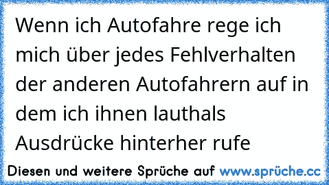 Wenn ich Autofahre rege ich mich über jedes Fehlverhalten der anderen Autofahrern auf in dem ich ihnen lauthals Ausdrücke hinterher rufe