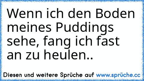 Wenn ich den Boden meines Puddings sehe, fang ich fast an zu heulen..