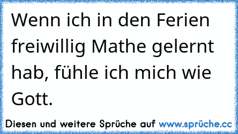 Wenn ich in den Ferien freiwillig Mathe gelernt hab, fühle ich mich wie Gott.