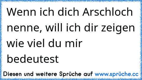 Wenn ich dich Arschloch nenne, will ich dir zeigen wie viel du mir bedeutest 