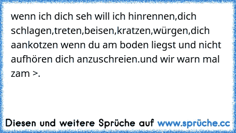 wenn ich dich seh will ich hinrennen,dich schlagen,treten,beisen,kratzen,würgen,dich aankotzen wenn du am boden liegst und nicht aufhören dich anzuschreien.und wir warn mal zam >.