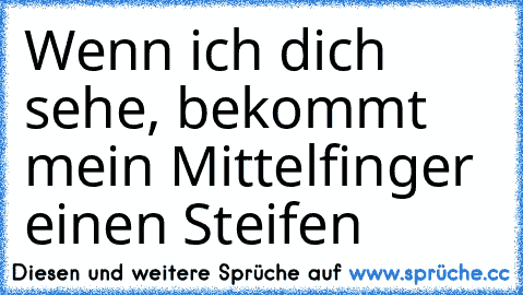 Wenn ich dich sehe, bekommt mein Mittelfinger einen Steifen