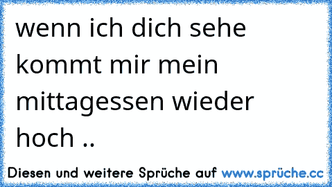 wenn ich dich sehe kommt mir mein mittagessen wieder hoch ..