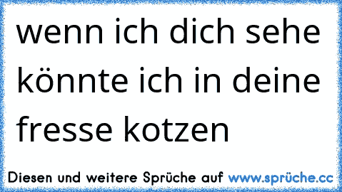 wenn ich dich sehe könnte ich in deine fresse kotzen