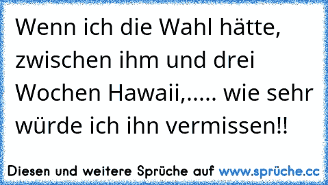 Wenn ich die Wahl hätte, zwischen ihm und drei Wochen Hawaii,..... wie sehr würde ich ihn vermissen!!