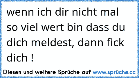 wenn ich dir nicht mal so viel wert bin dass du dich meldest, dann fick dich !