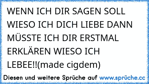 WENN ICH DIR SAGEN SOLL WIESO ICH DICH LIEBE DANN MÜSSTE ICH DIR ERSTMAL ERKLÄREN WIESO ICH LEBEE!!(made cigdem)