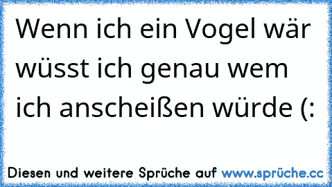 Wenn ich ein Vogel wär wüsst ich genau wem ich anscheißen würde (: