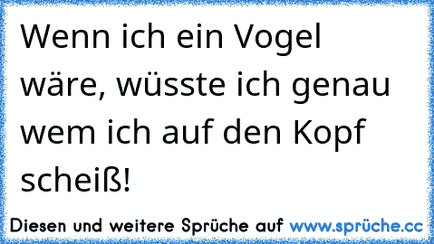 Wenn ich ein Vogel wäre, wüsste ich genau wem ich auf den Kopf scheiß!