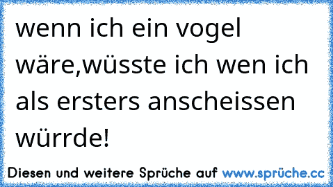 wenn ich ein vogel wäre,wüsste ich wen ich als ersters anscheissen würrde!