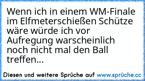 Wenn ich in einem WM-Finale im Elfmeterschießen Schütze wäre würde ich vor Aufregung warscheinlich noch nicht mal den Ball treffen...