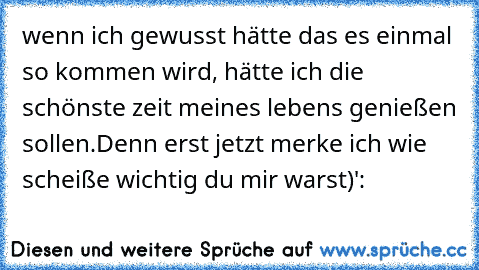 wenn ich gewusst hätte das es einmal so kommen wird, hätte ich die schönste zeit meines lebens genießen sollen.Denn erst jetzt merke ich wie scheiße wichtig du mir warst)':