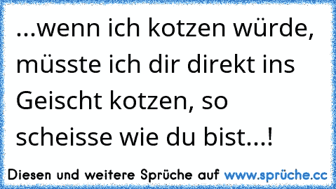 ...wenn ich kotzen würde, müsste ich dir direkt ins Geischt kotzen, so scheisse wie du bist...!