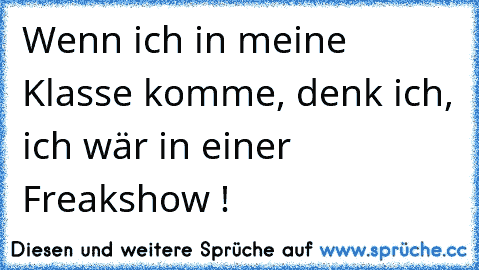 Wenn ich in meine Klasse komme, denk ich, ich wär in einer Freakshow !