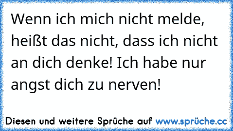 Wenn ich mich nicht melde, heißt das nicht, dass ich nicht an dich denke! Ich habe nur angst dich zu nerven!