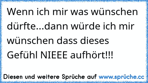 Wenn ich mir was wünschen dürfte...dann würde ich mir wünschen dass dieses Gefühl NIEEE aufhört!!! ♥