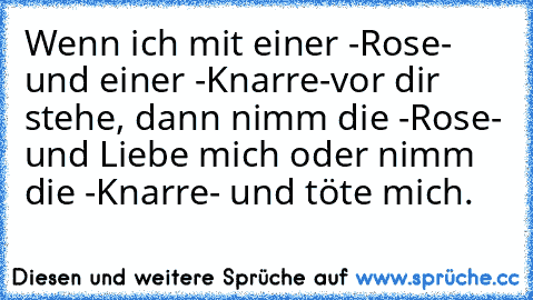 Wenn ich mit einer -Rose- und einer -Knarre-
vor dir stehe, dann nimm die -Rose- und Liebe mich oder nimm die -Knarre- und töte mich.