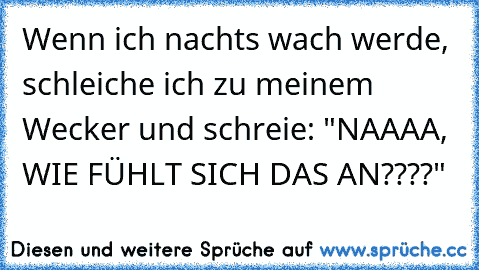 Wenn ich nachts wach werde, schleiche ich zu meinem Wecker und schreie: "NAAAA, WIE FÜHLT SICH DAS AN????"