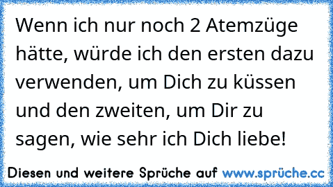 Wenn ich nur noch 2 Atemzüge hätte, würde ich den ersten dazu verwenden, um Dich zu küssen und den zweiten, um Dir zu sagen, wie sehr ich Dich liebe!