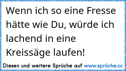 Wenn ich so eine Fresse hätte wie Du, würde ich lachend in eine Kreissäge laufen!