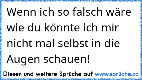 Wenn ich so falsch wäre wie du könnte ich mir nicht mal selbst in die Augen schauen!