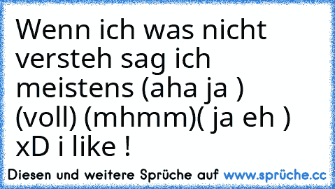 Wenn ich was nicht versteh sag ich meistens (aha ja )  (voll) (mhmm)( ja eh ) xD i like !