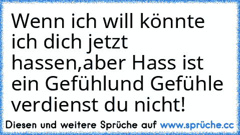 Wenn ich will könnte ich dich jetzt hassen,
aber Hass ist ein Gefühl
und Gefühle verdienst du nicht!