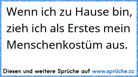 Wenn ich zu Hause bin, zieh ich als Erstes mein Menschenkostüm aus.